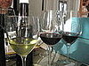 Wine lined up for tasting.