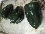 Rice, Chorizo, Shrimp Stuffed Poblanos 