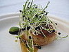 Sea Scallop