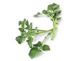 Beef With Onions and Watercress