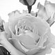 pickoneforme's picture