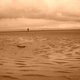 phinn's picture
