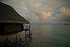 Investigate Travel Insurance 