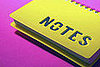 Notebook With Prepared Questions