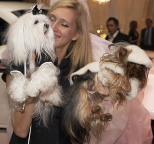 A Peek Into the 2008 Luxurious Millionaire Fair