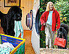 Newfie Helps Owner With Daily Chores