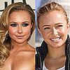 Hayden Panettiere's Eyelashes
