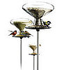 Bird Table and Millet