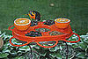 Fruit Feeder and Jelly