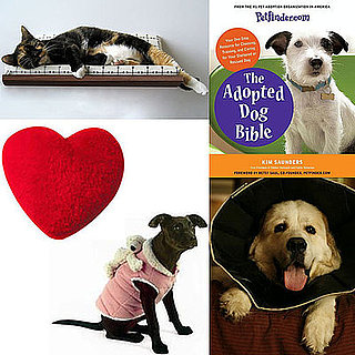 Pet's February Must Haves