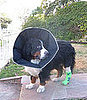 Comfy Cone