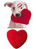 "I Love You" Heart Toy