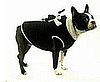 Doggy Back Jacket Pack