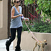 Pound Puppy Chloe (and LC) Take an LA Walk