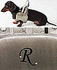 Monogrammed Dog Life Vest