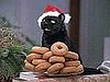 Salem