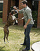 Travis and Presley