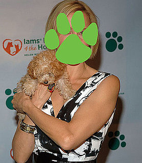 Iams Home 4 the Holidays