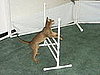 High Hurdles