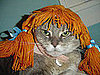 Is This Pippi?
