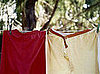 2. Underwear