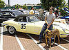 Rhodesian Ridgeback