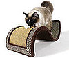 Dream Curl Takes Cat For a Magic Carpet Ride
