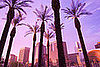 No. 7 Phoenix, AZ