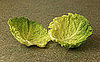 Cabbage Leaves