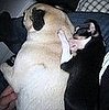 Spooning.
