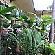 Lola34's picture