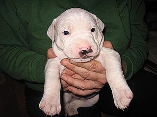 Baby Bella!
