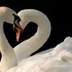 lauraconnell's picture