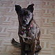 sader04's picture