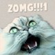 fishay's picture