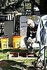 05/25/2008: DC is sanding the rust from the cabinet of the 50s fridge that will serve as storage.