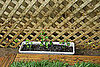 Pots of English ivy placed at each section of the fence. Grow, my darlings, grow...