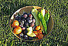 Today's bounty of plums, green & yellow banana peppers, yellow jalapenos, habaneros, and tomatoes