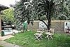 Our newly refreshed garden & patio - my entry into Casa's Summer Style Contest. 