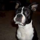 lelalela's picture