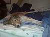 What a long day!