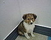 Look at how shy & little he was!