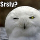 anothermeowmix's picture