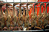Rows of Peking Ducks Hang