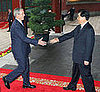 Beijing Bush