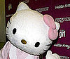 Hello, Kitty