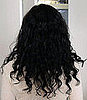 Back View