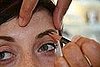 Shaping the Brows