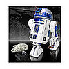 R2D2 Projection Unit