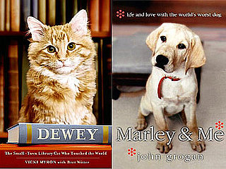 Pet Books to Curl Up With This Holiday 